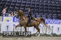 25R13_12459 thumbnail