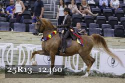 25R13_12460 thumbnail