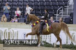 25R13_12461 thumbnail