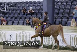 25R13_12462 thumbnail