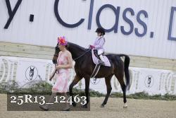 25R13_12463 thumbnail