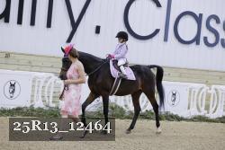 25R13_12464 thumbnail