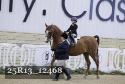 25R13_12468 thumbnail