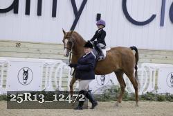 25R13_12472 thumbnail