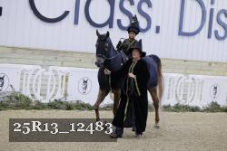 25R13_12483 thumbnail