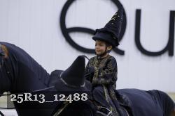 25R13_12488 thumbnail