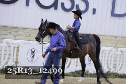 25R13_12499 thumbnail