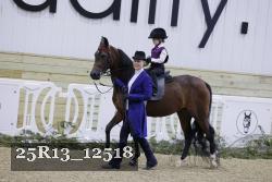 25R13_12518 thumbnail