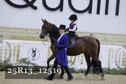 25R13_12519 thumbnail