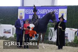 25R13_12611 thumbnail