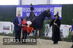 25R13_12612 thumbnail