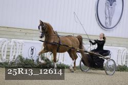 25R13_12614 thumbnail