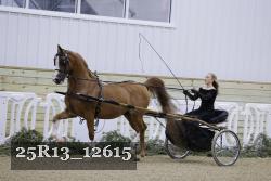 25R13_12615 thumbnail