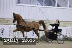 25R13_12616 thumbnail