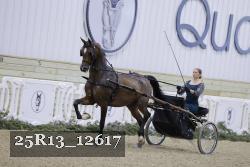 25R13_12617 thumbnail