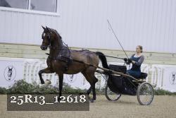 25R13_12618 thumbnail