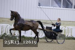 25R13_12619 thumbnail