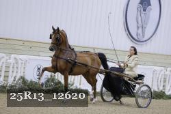 25R13_12620 thumbnail