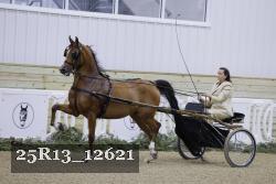 25R13_12621 thumbnail