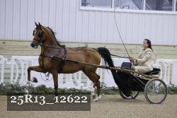 25R13_12622 thumbnail