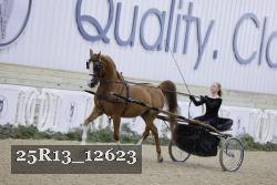 25R13_12623 thumbnail