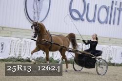 25R13_12624 thumbnail
