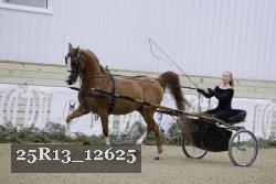 25R13_12625 thumbnail