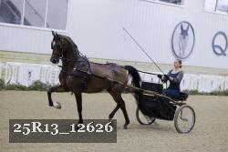 25R13_12626 thumbnail