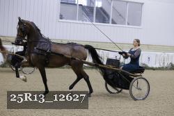 25R13_12627 thumbnail