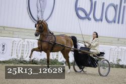 25R13_12628 thumbnail
