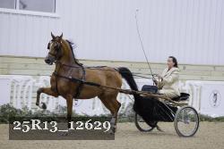 25R13_12629 thumbnail