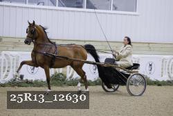 25R13_12630 thumbnail