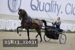 25R13_12631 thumbnail