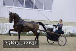 25R13_12632 thumbnail