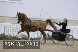 25R13_12633 thumbnail