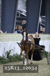 25R13_12634 thumbnail