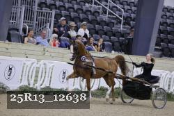 25R13_12638 thumbnail