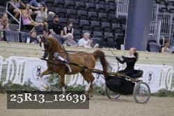 25R13_12639 thumbnail