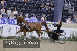 25R13_12640 thumbnail