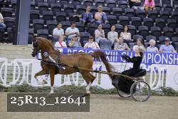 25R13_12641 thumbnail