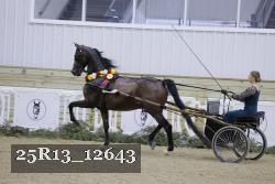 25R13_12643 thumbnail