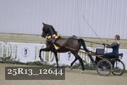 25R13_12644 thumbnail