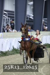 25R13_12645 thumbnail