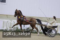 25R13_12650 thumbnail