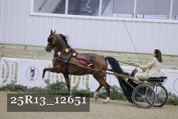 25R13_12651 thumbnail