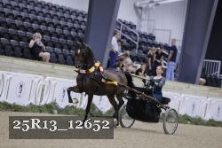 25R13_12652 thumbnail