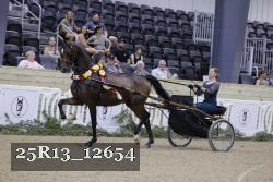 25R13_12654 thumbnail