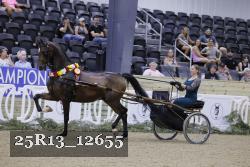 25R13_12655 thumbnail