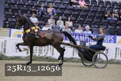 25R13_12656 thumbnail