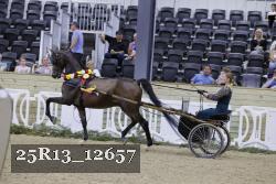 25R13_12657 thumbnail